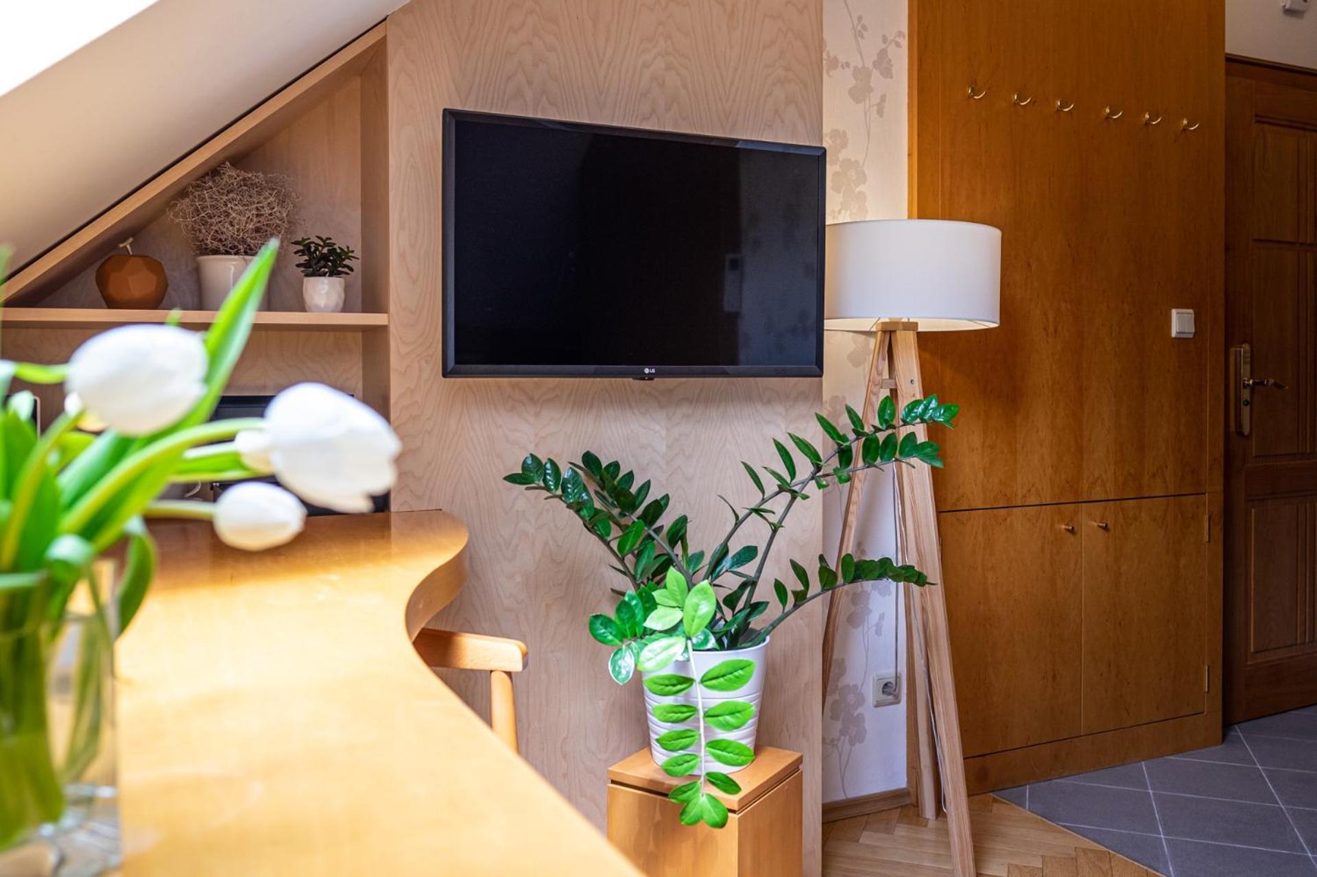 Villa Marion Luhacovice Room photo